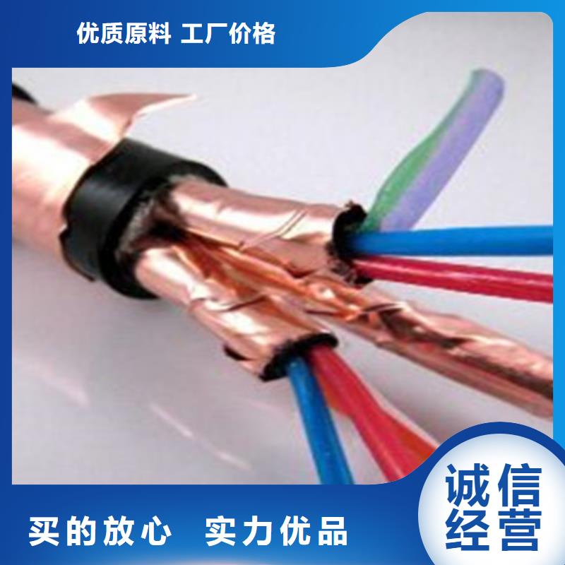 四川DJYPVP 鎧裝計算機電纜10X2X0.75