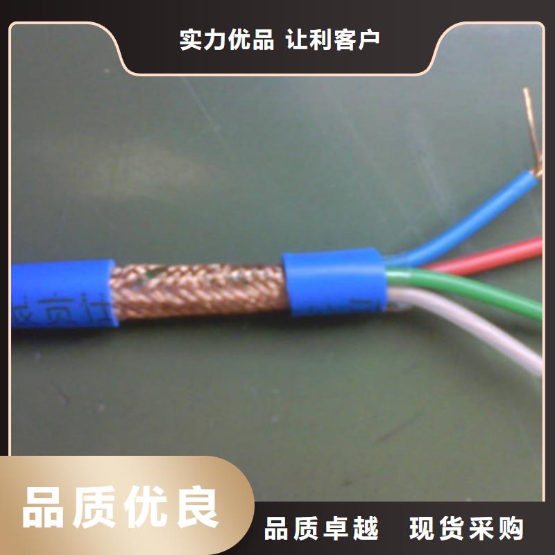 計(jì)算機(jī)電纜鐵路信號(hào)電纜專注產(chǎn)品質(zhì)量與服務(wù)源頭廠家供應(yīng)