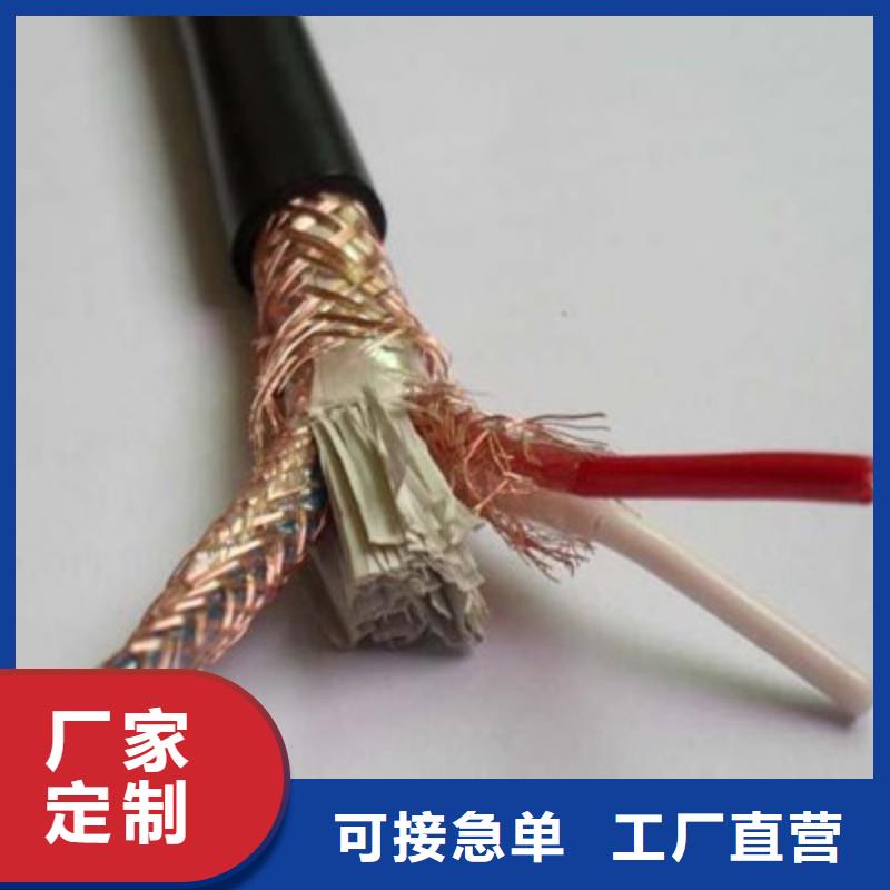 阻燃計算機電纜ZR-DJVPVP227X2X2.5實力廠家直銷