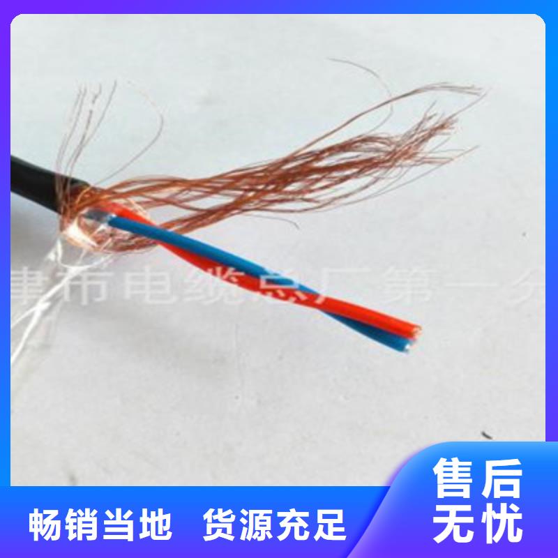 黃石專業銷售耐火計算機電纜NH-DJYJVPR-現貨供應