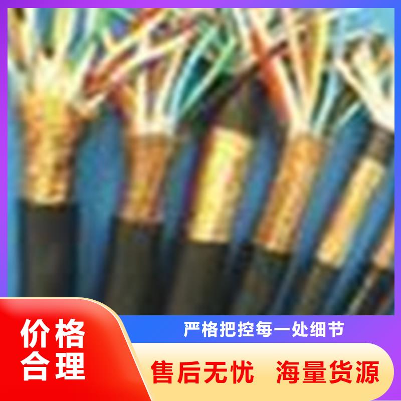 揚州計算機屏蔽電纜HBIYP2YVZ-III優質商家