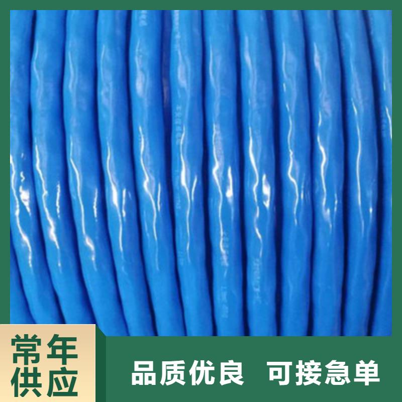 婁底ZR-YRYVVSP阻燃雙絞線30X2X1.5