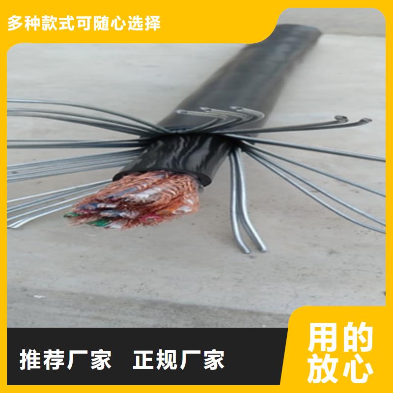 鎧裝計算機電纜DJYPCV7X2X0.75定制零售批發