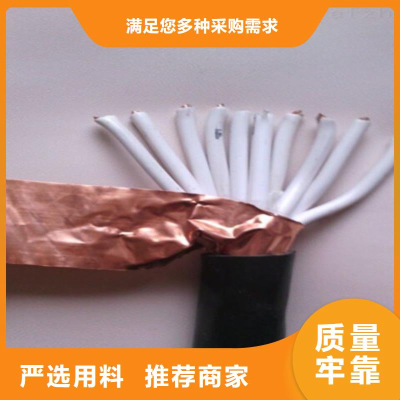 ZR-KVVP22阻燃鎧裝屏蔽控制電纜特價銷售當地生產商