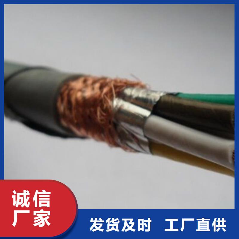 控制電纜屏蔽電纜好品質(zhì)選我們當(dāng)?shù)亟?jīng)銷商