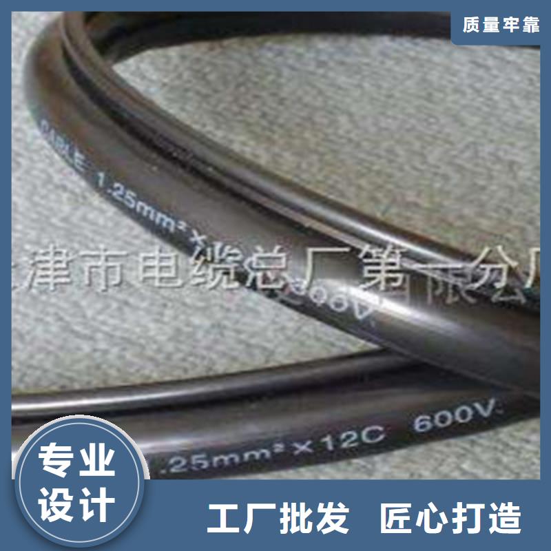 控制電纜鐵路信號(hào)電纜品質(zhì)保障價(jià)格合理本地經(jīng)銷商