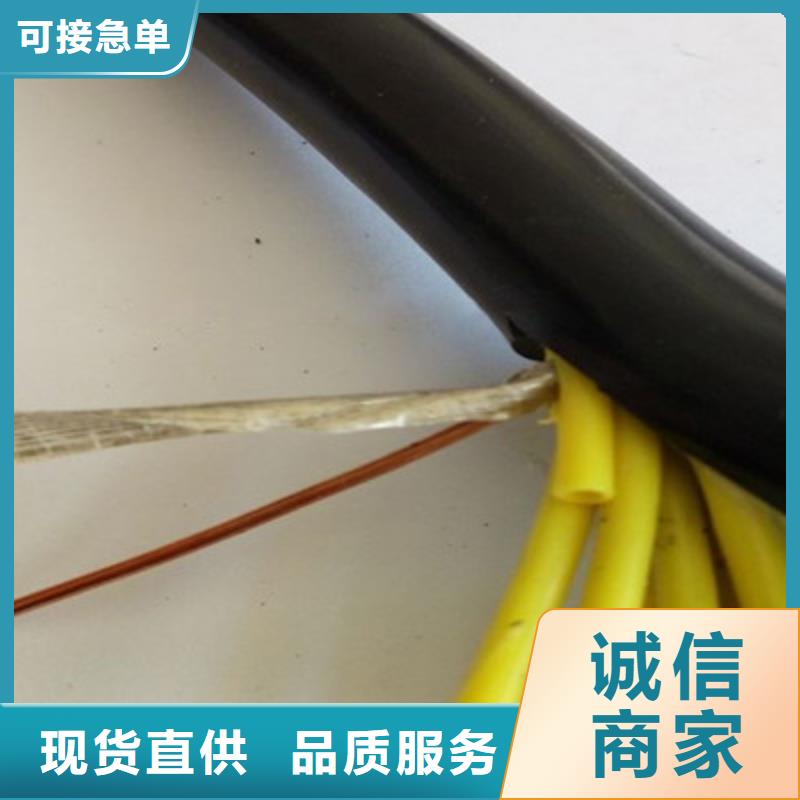 【控制電纜】-屏蔽電纜品牌專營安裝簡單