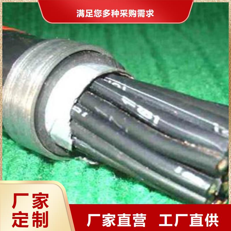礦用控制電纜通信電纜常年供應價格有優(yōu)勢
