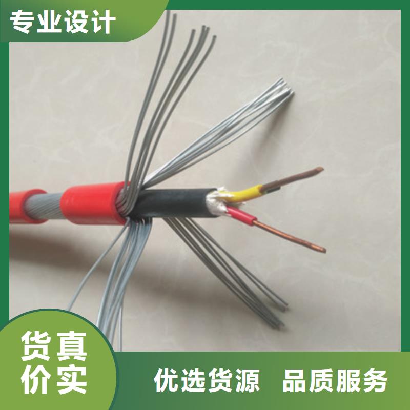 PUYVRP礦用傳感器信號電纜現貨價格廠家定制