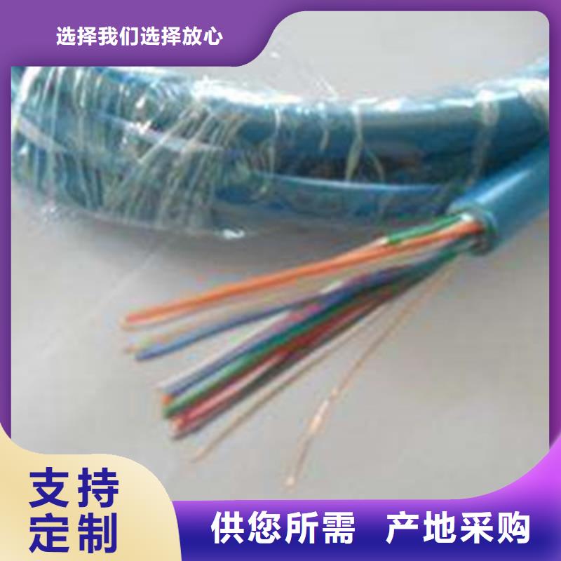 礦用信號電纜屏蔽電纜滿足客戶需求隨到隨提