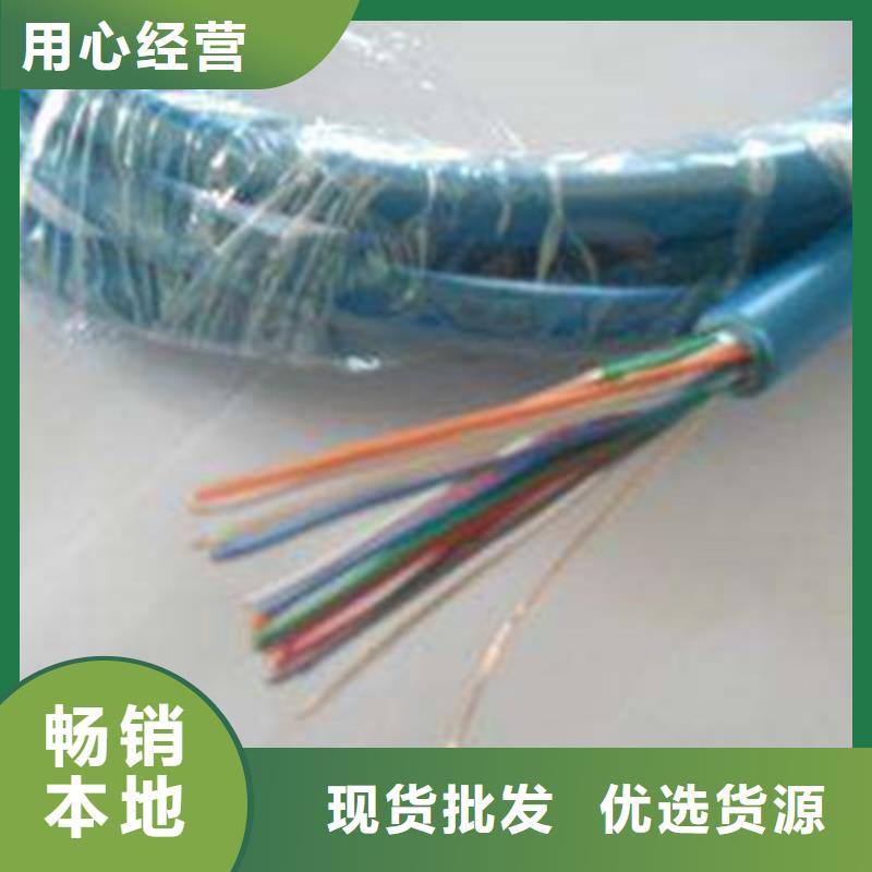 矿用测控信号电缆MHJVV值得信赖当地制造商