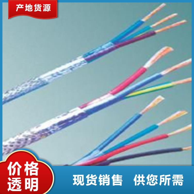 黃石DJFVP2耐高溫計(jì)算機(jī)電纜4X2X1.0