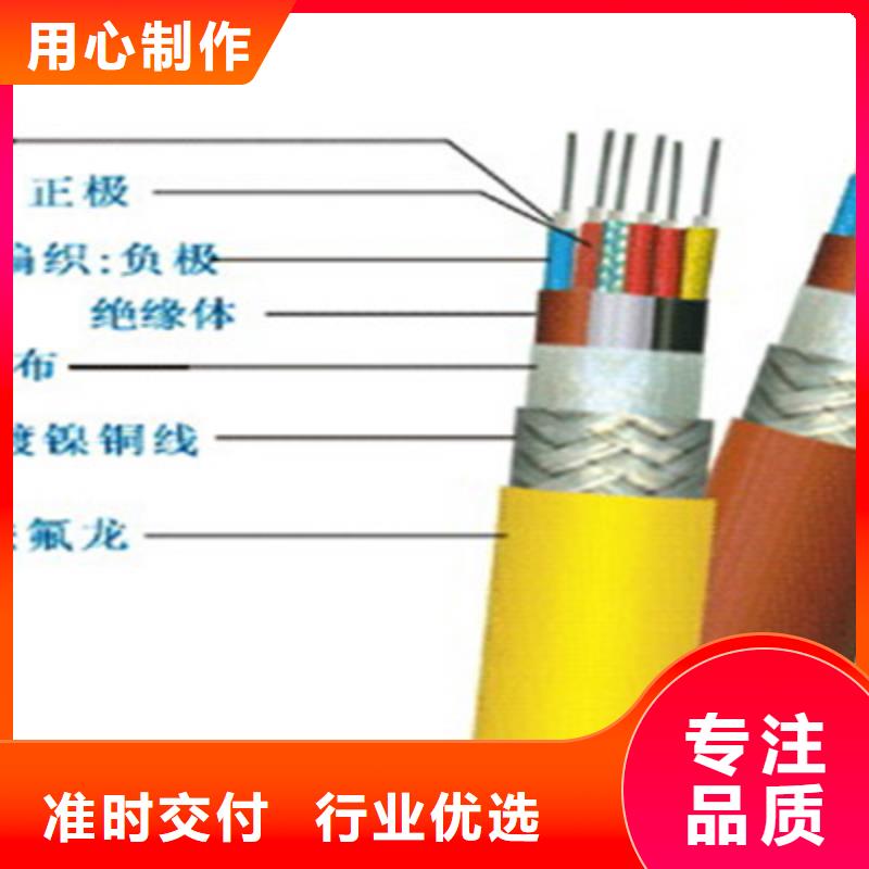 成都耐高溫電纜DJFP2屏蔽型零售
