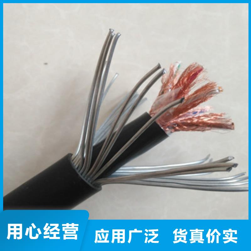 黃石DJFVP2耐高溫計(jì)算機(jī)電纜8X2X1.5