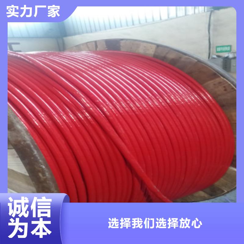 耐高溫電纜【電纜生產廠家】制造廠家注重細節