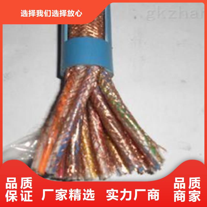DJFFRP5耐高溫計算機線纜廠家直銷一站式采購商家