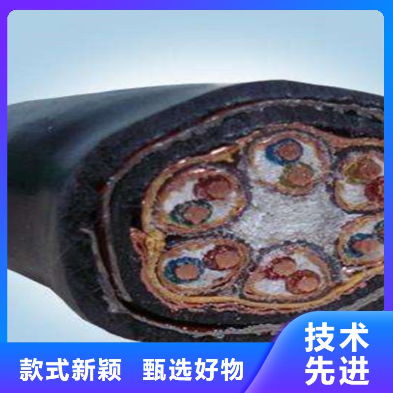 阻燃耐高溫電纜ZR192-KFVRP24X0.5本地供應(yīng)商