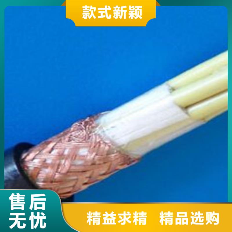 耐高溫電纜屏蔽電纜庫存量大同城生產(chǎn)廠家