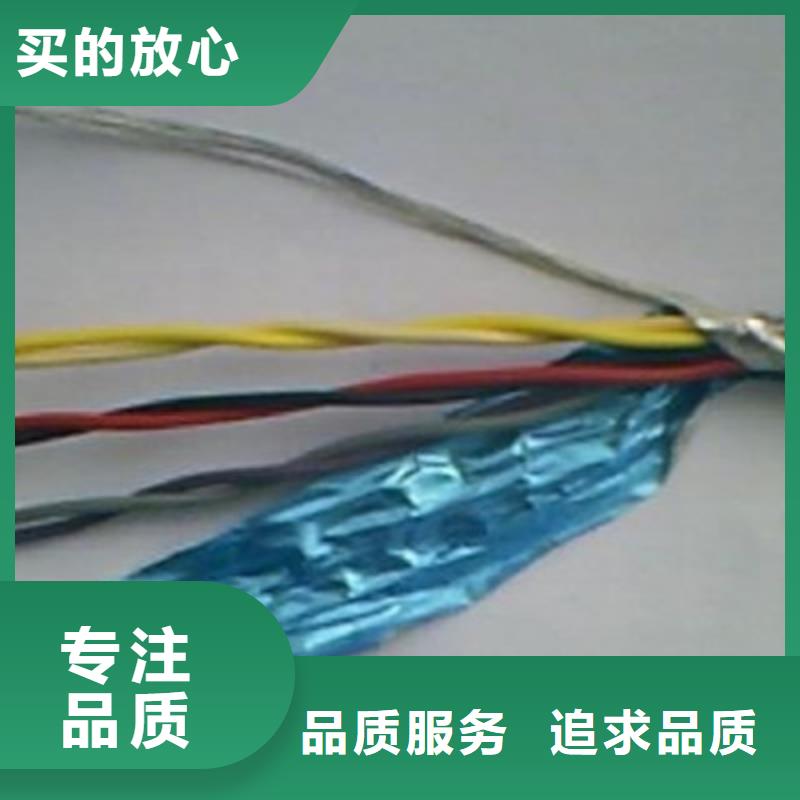 成都耐高溫電纜DJFP2屏蔽型零售