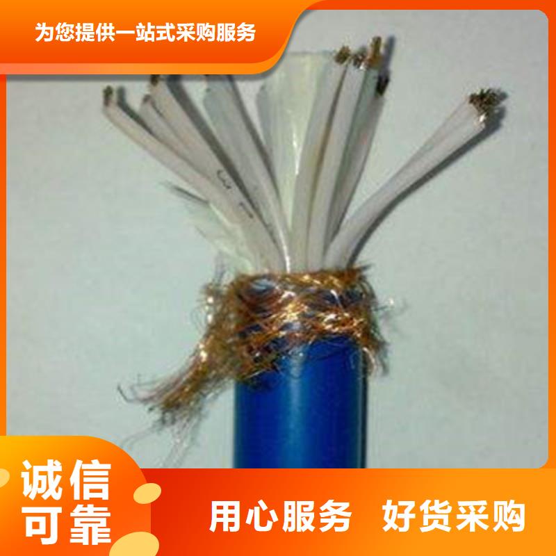 耐高溫電纜屏蔽電纜來電咨詢當地經銷商