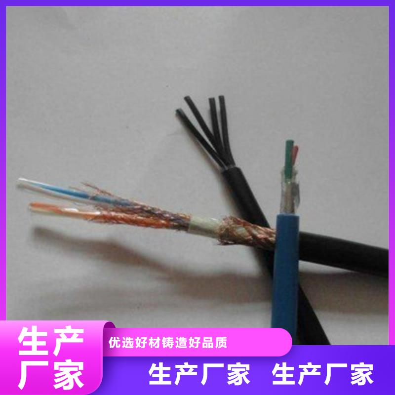 黃石DJFVP2耐高溫計(jì)算機(jī)電纜8X2X1.5