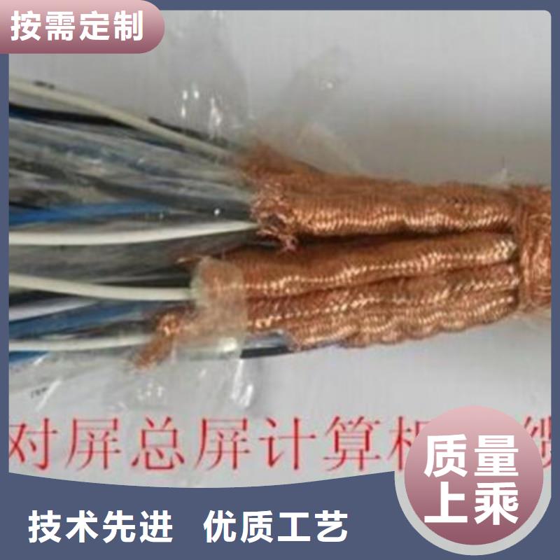DJFP2VFP2計算機耐高溫電纜4X2X2.5同城廠家