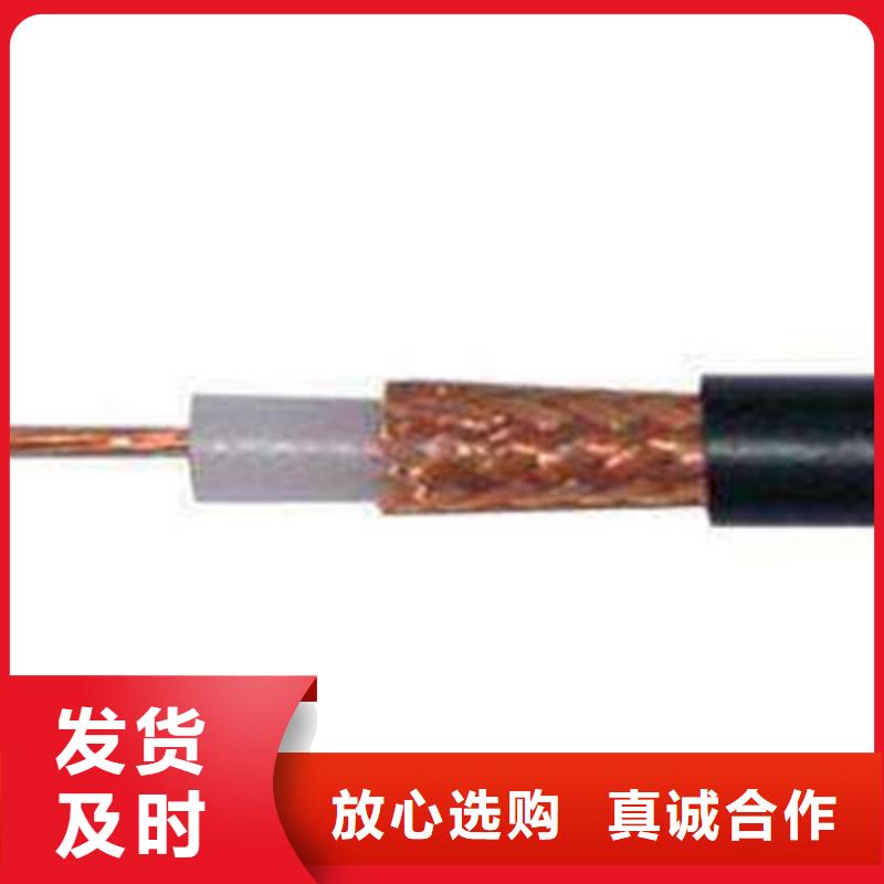 監(jiān)控線SYV廠家-合作共贏一件也發(fā)貨