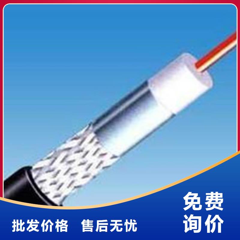 黃石銷售SFF耐高溫視頻電纜廠家