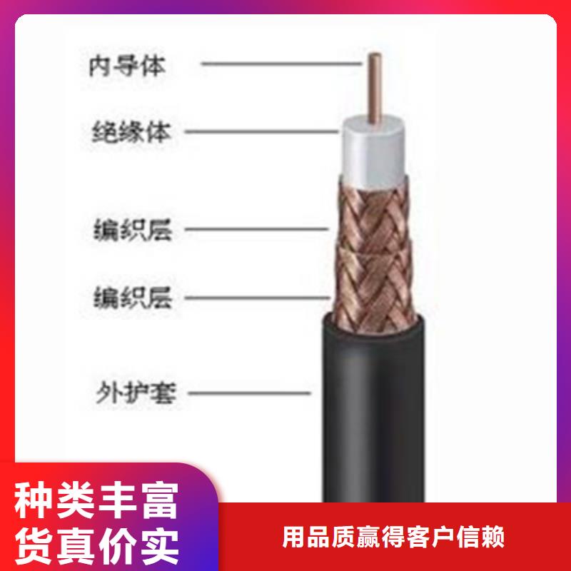 樂東縣SYV射頻同軸電纜企業(yè)