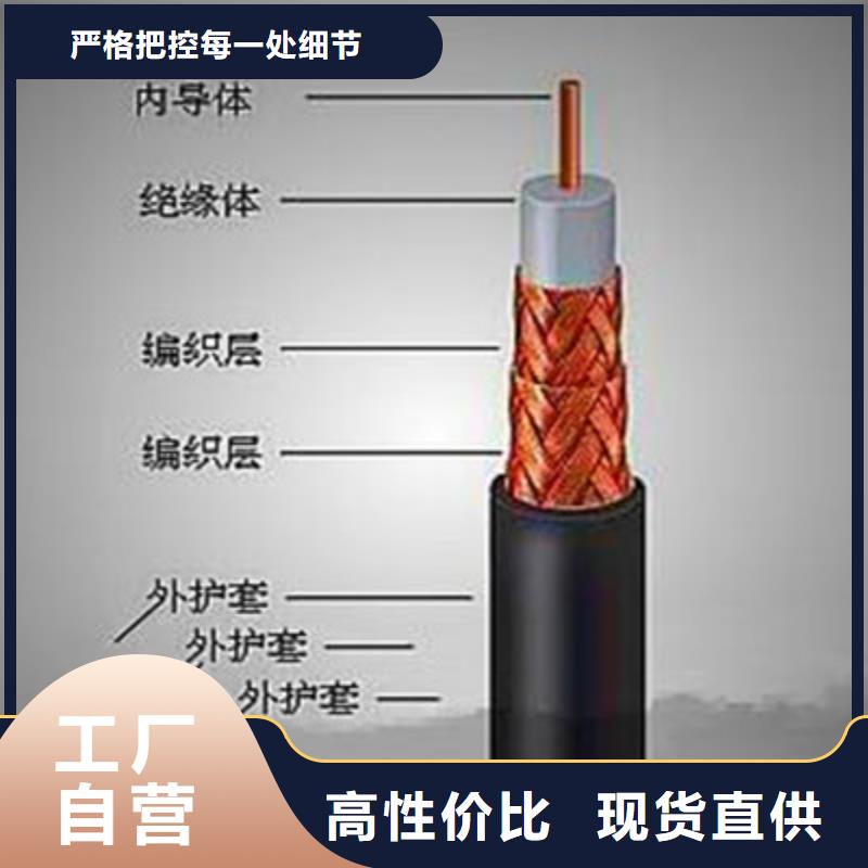射頻線SYV工藝精湛本地生產(chǎn)商