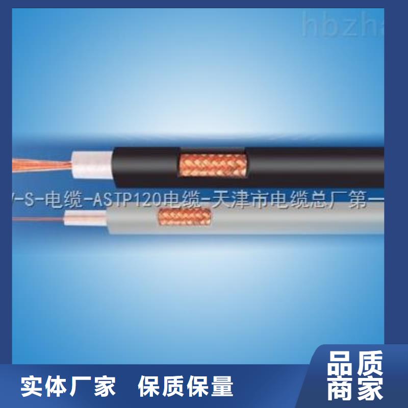 黃石銷售SFF耐高溫視頻電纜廠家