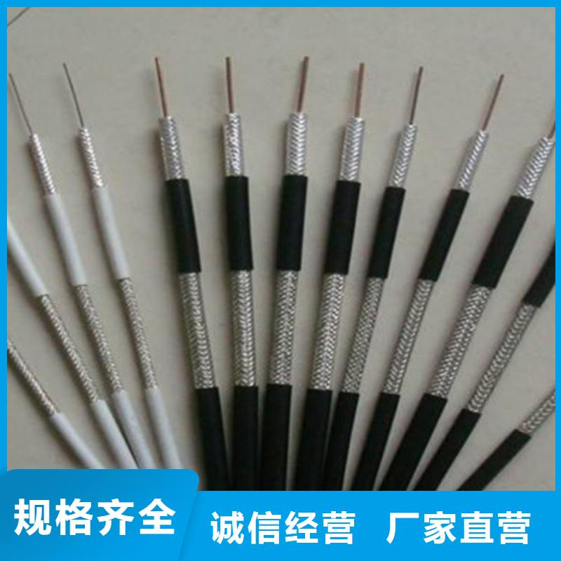 耐火射頻電纜NH-A-SYV型號(hào)齊全嚴(yán)格把控質(zhì)量