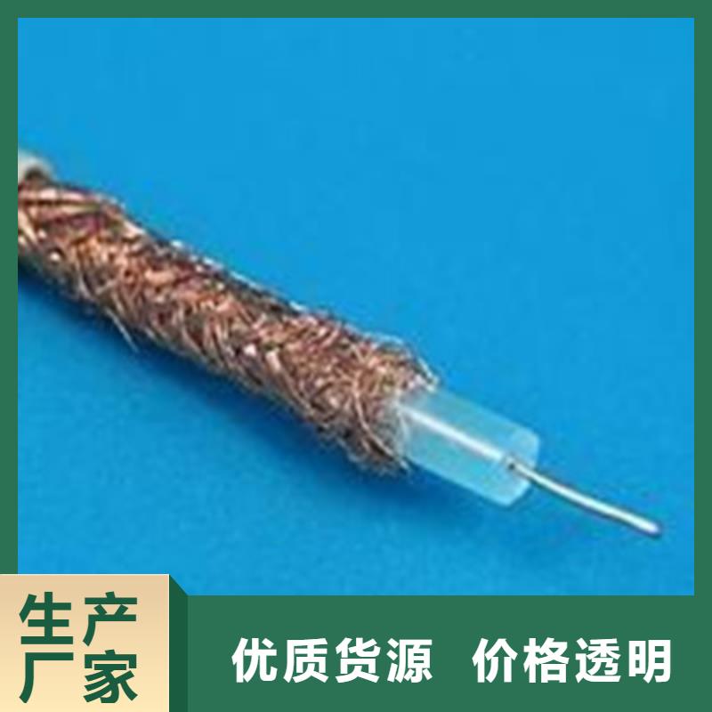 江蘇常年供應視頻監控電纜SYP-價格優惠