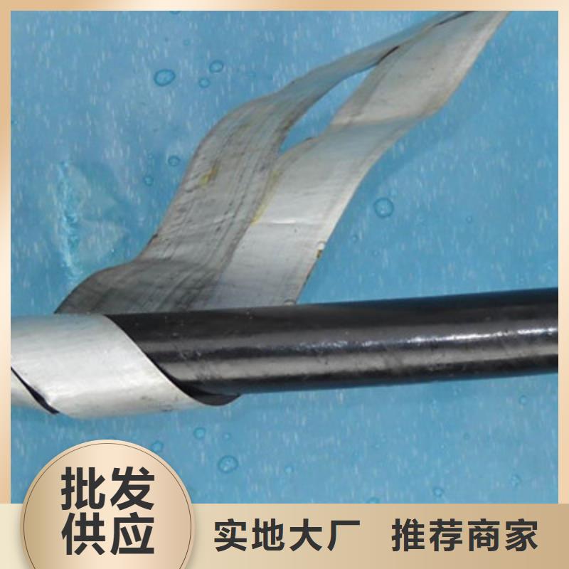 【鐵路信號電纜,屏蔽電纜匠心打造】您想要的我們都有