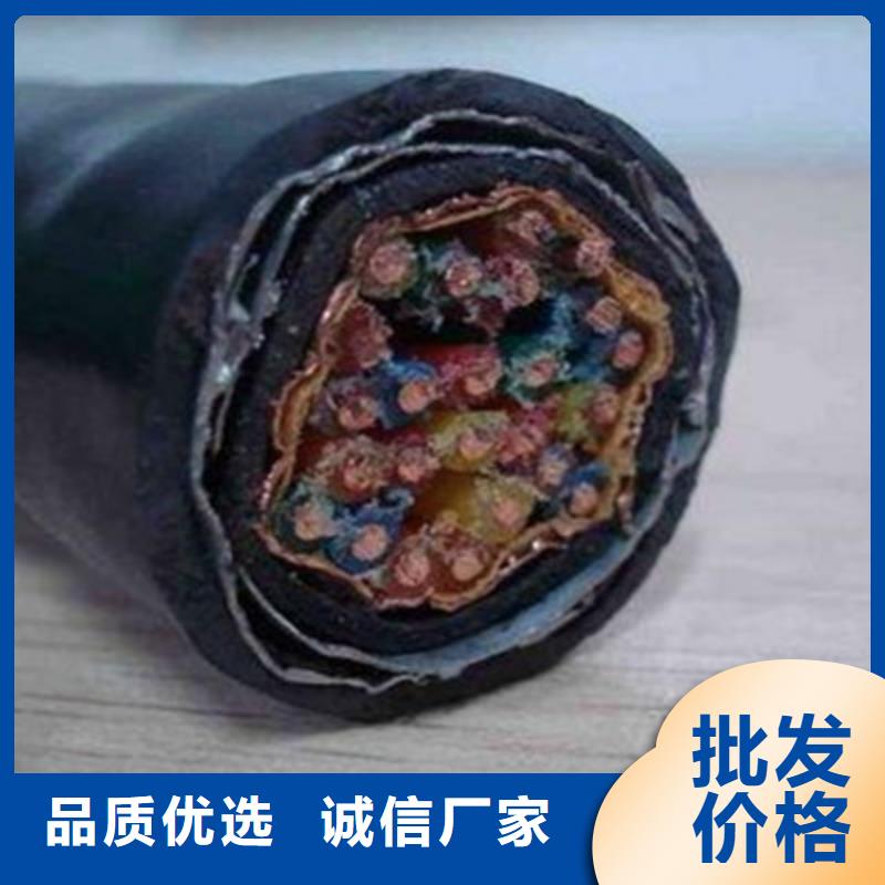 張掖PTYL23鋁護套信號電纜6X1
