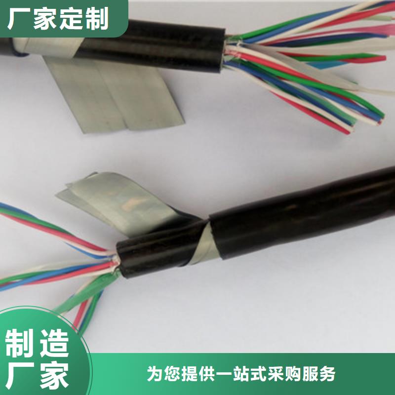【優(yōu)選】PTYL22鎧裝信號電纜源頭廠家同城品牌