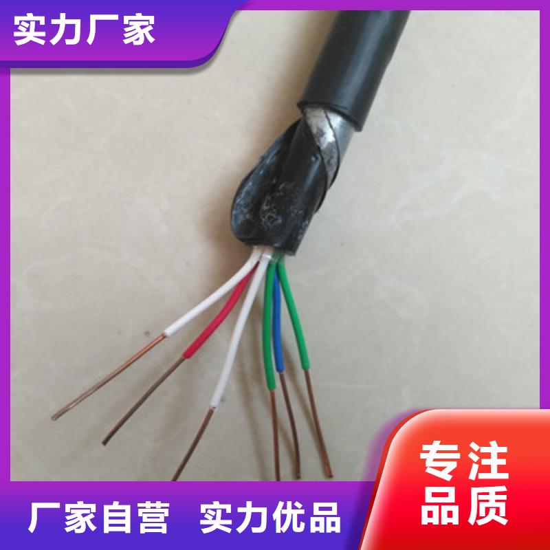 漢中WDZ-PZYA23鎧裝鐵路電纜52芯