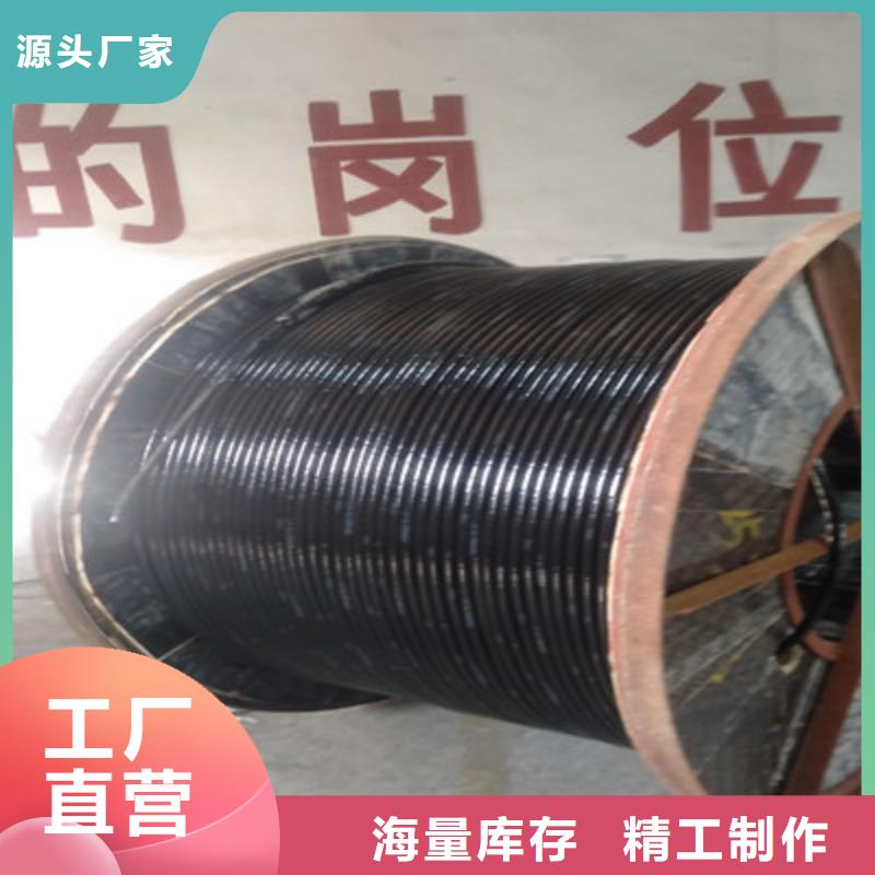 黑龍江低煙無鹵33芯鐵路信號電纜48芯