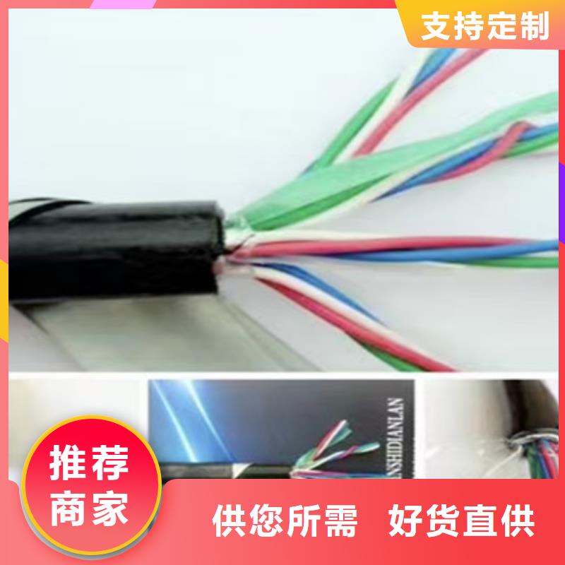 鐵路信號(hào)電纜電纜生產(chǎn)廠家定制速度快工期短本地供應(yīng)商