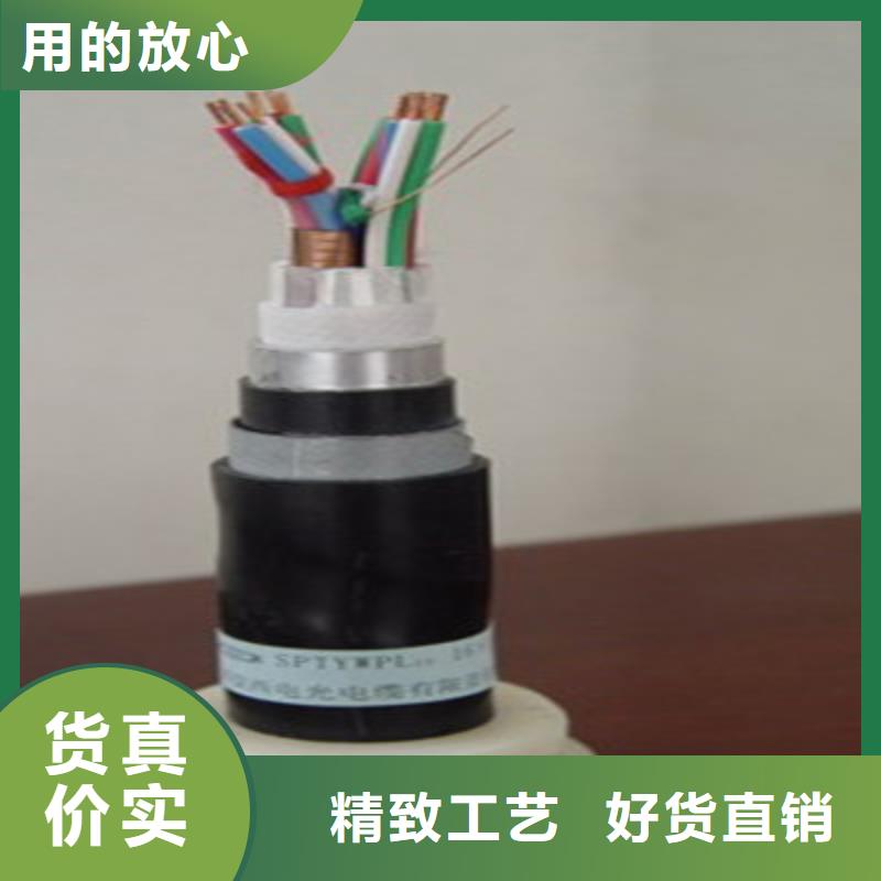 21芯信號(hào)線纜量大價(jià)格從優(yōu)