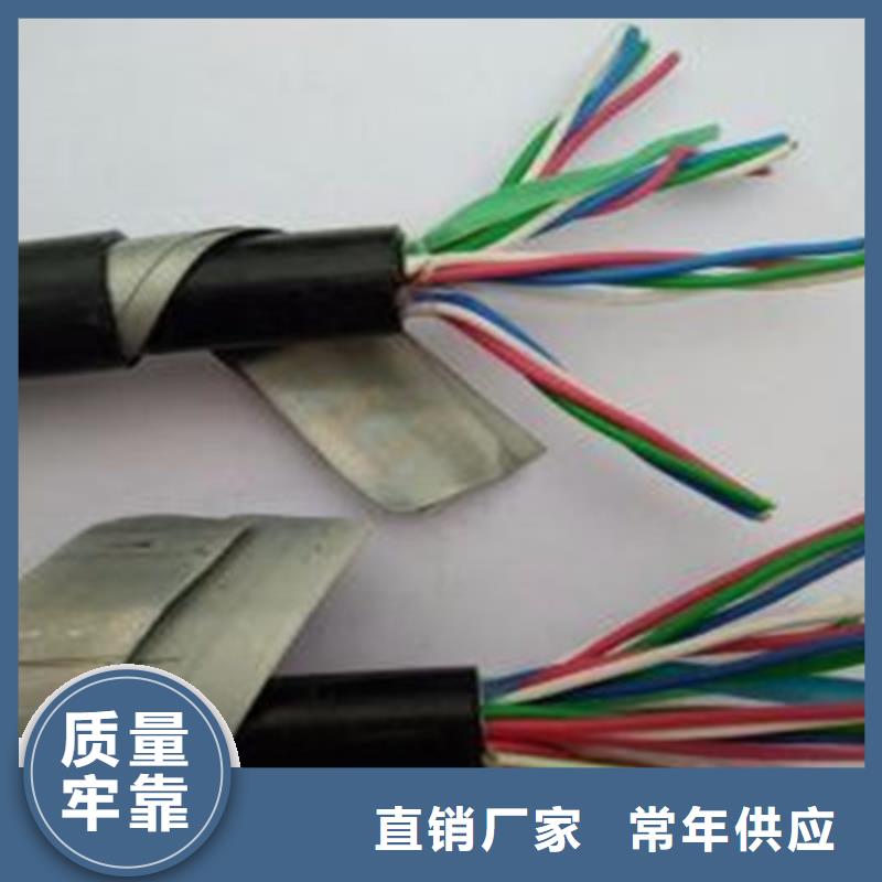 秦皇島WDZ-PZYY23 鎧裝信號電纜信息