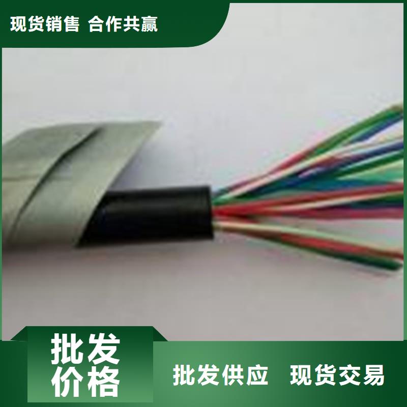 鐵路信號(hào)電纜通信電纜源頭廠家直銷(xiāo)產(chǎn)品細(xì)節(jié)