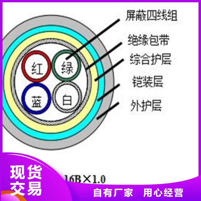 批发PZYA22铁路信号电缆的生产厂家{当地}品牌