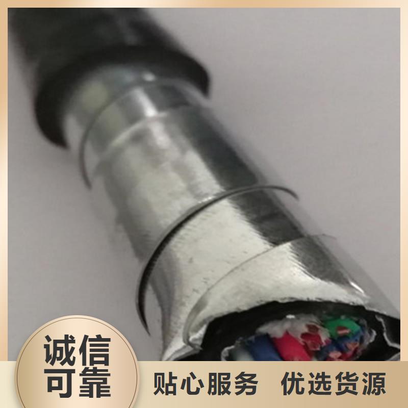 秦皇島WDZ-PZYY23 鎧裝信號電纜信息