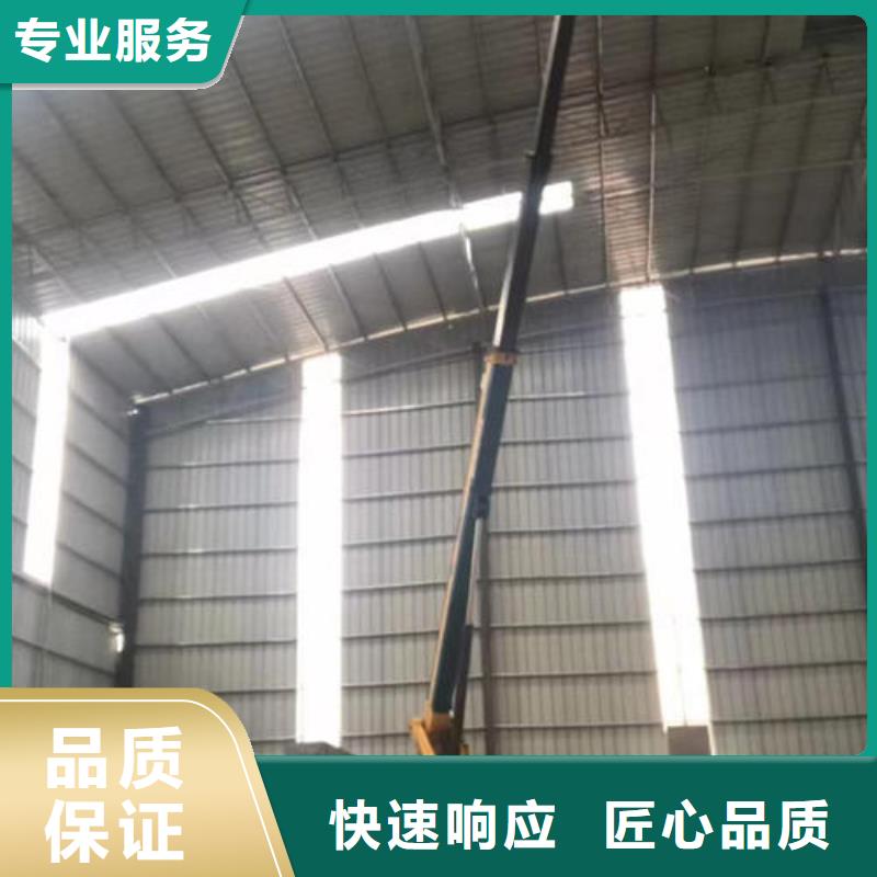 惠州惠城伸臂吊機租賃