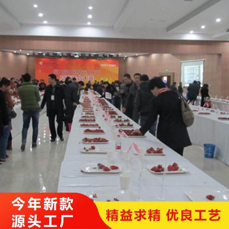 可定制的葫蘆島脫毒草莓苗實(shí)體廠家