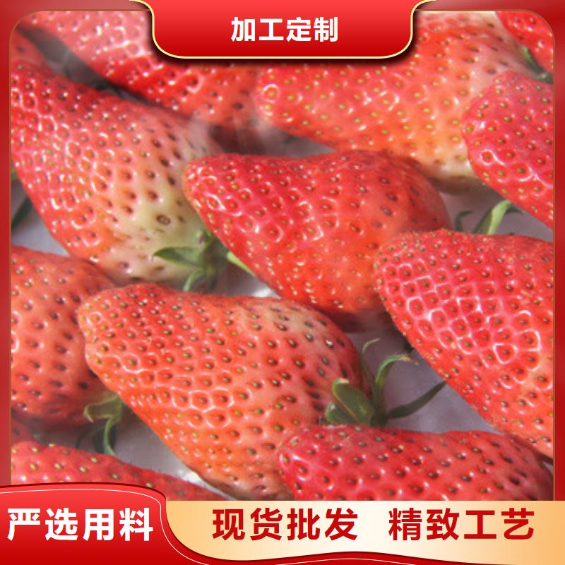 桃熏草莓苗廠家_商洛桃熏草莓苗