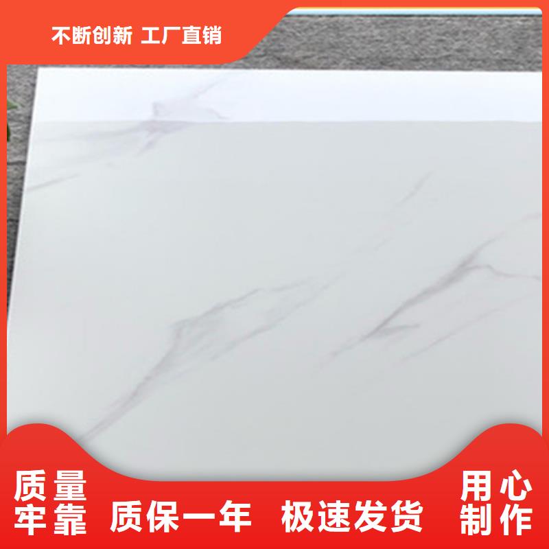 優質西藏800*800地板磚-800*800地板磚廠家