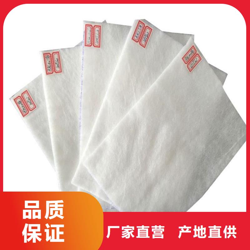 PP編織土工布新聞動(dòng)態(tài)敢與同行比服務(wù)