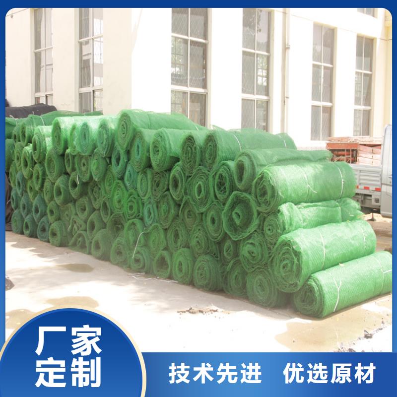 綠化三維植被網報價合理工程施工案例